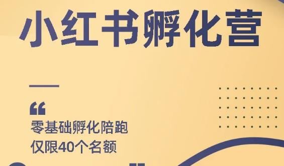 勇哥小红书撸金快速起量项目：教你如何快速起号获得曝光，做到月躺赚在3000+插图